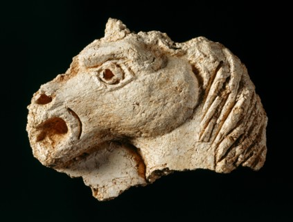Plaster fragment of a horse's head from one of the ceilings, Berry Pomeroy Castle, Devon