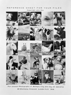 Animal montage, 1970