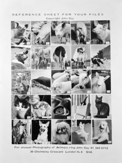 Animal montage, 1970
