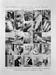 Animal montage, 1970