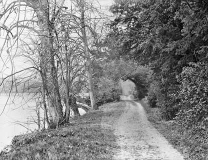 Track on the bank of the River Thames, Cliveden, Taplow, Buckinghamshire, 1883