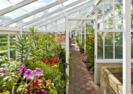 Interior of the greenhouse in the gardens of Walmer Castle, Kent, c1980-c2017