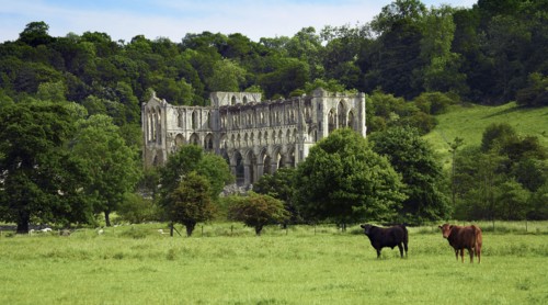Rievaulx Abbey, North Yorkshire, 2006