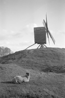 Brill Windmill, Buckinghamshire, 1934