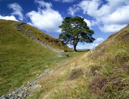 Sycamore Gap, near Steel Rigg, Hadrian's Wall, Northumberland, 2010