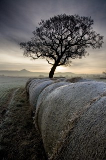 Morton Carr and Roseberry Topping, North Yorkshire, 2008