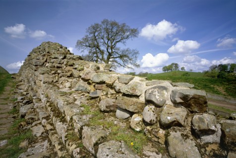 Hadrian's Wall, Willowford, Northumberland, 2010