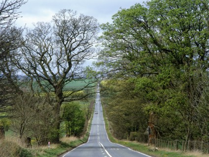 Roman military road west of Housesteads Fort, Hadrian's Wall, Northumberland, 2010