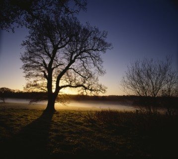 Battlefield of the Battle of Hastings, Battle Abbey, East Sussex, 2010