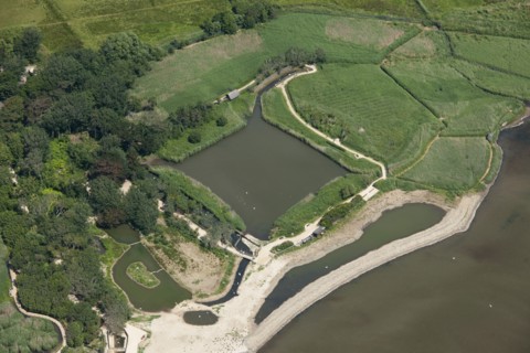 Decoy pond, Abbotsbury Swannery, Dorset, 2014