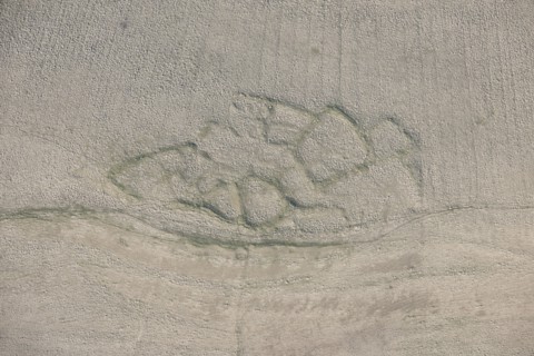 Romano-British enclosed settlement earthwork, Intake, Crosby Garrett Fell, Cumbria, 2014