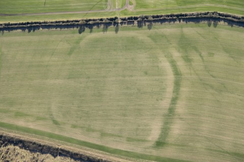 Woodbury Iron Age univallate hillfort crop mark, Salisbury, Wiltshire, 2018