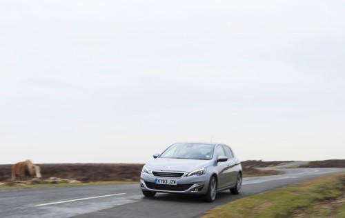 2014 Peugeot 308 THP 156 Feline Artist: Unknown.