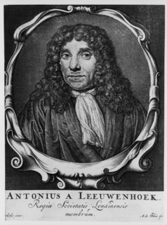 Antoni van Leeuwenhoek, Dutch pioneer of microscopy, c1660. Artist: Abraham de Blois