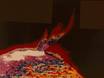 False colour image of a solar flare from Skylab, 1973. Artist: Unknown