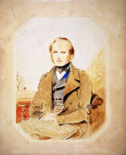 Charles Darwin, English naturalist. Artist: Unknown