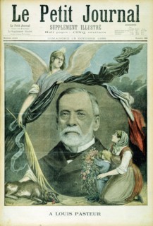 Louis Pasteur, French chemist, 1895. Artist: Unknown
