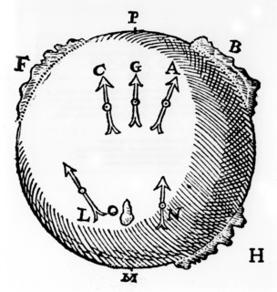 Magnetism, 1600. Artist: Unknown