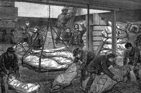 Unloading frozen meat from Australia, South West India Dock, Millwall, London, 1881. Artist: Unknown