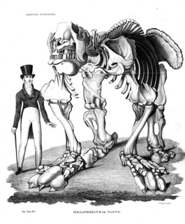 Skeleton of Megatherium, extinct giant ground sloth, 1823. Artist: Unknown