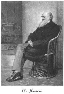 Charles Darwin, English naturalist, 1883. Artist: Unknown