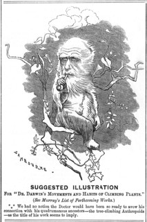Charles Darwin, English naturalist, 1875. Artist: Edward Linley Sambourne