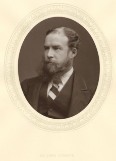 John Lubbock, first Baron Avebury, English banker, archaeologist, naturalist and politician, c1880. Artist: Unknown