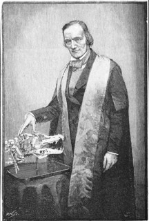Richard Owen, British naturalist, c1856 (1891). Artist: Unknown