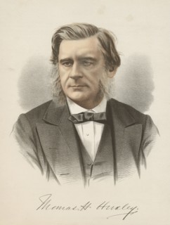 Thomas Henry Huxley, English biologist, c1880. Artist: Unknown
