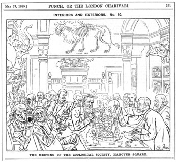 'The Meeting of the (Royal) Zoological Society, Hanover Square', London, 1885. Artist: Harry Furniss