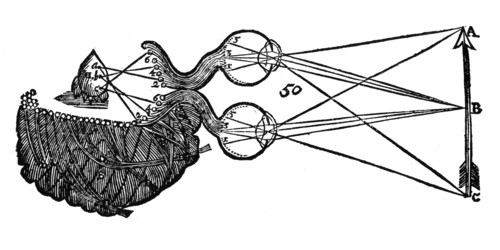 Rene Descartes' idea of vision, showing the function of the eye, optic nerve and brain, 1692. Artist: Unknown