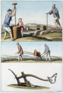 Chinese agriculture, 1825-1835. Artist: Unknown
