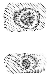 Galileo's drawing of lunar craters, 1611, (c1655). Artist: Unknown