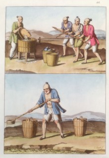 Chinese agriculture, 1825-1835 Artist: Unknown