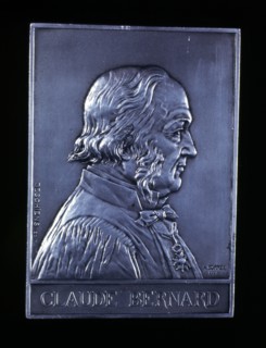 Claude Bernard, 19th century French physiologist, 1913. Artist: Unknown