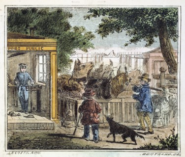 Public weighbridge used to weigh cattle in a market, 1867. Artist: Unknown