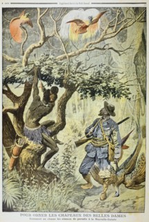 Killing Birds of Paradise, New Guinea, 1908. Artist: Unknown