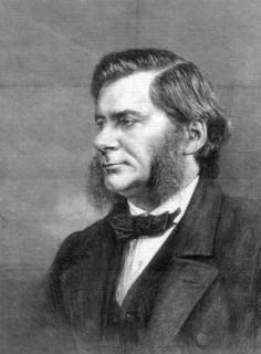Thomas Henry Huxley, British biologist, 1871. Artist: Unknown