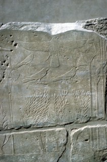 Reliefs in the Botanical Garden, Temple of Amun, Karnak, Egypt. Artist: Unknown
