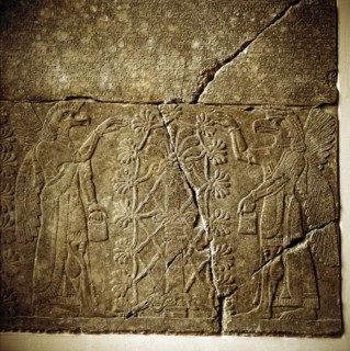Assyrian relief of a Sacred tree flanked by two winged genies. Artist: Unknown
