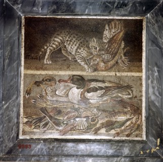 Roman mosaic of a cat with ducks, Pompeii, Italy. Creator: Unknown.