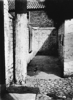 Narrow alley in a York slum, Yorkshire, 1901. Artist: Unknown
