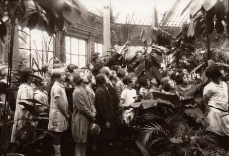 A group of girls are shown the features of a conservatory, York,  Yorkshire,  1929. Artist: Unknown