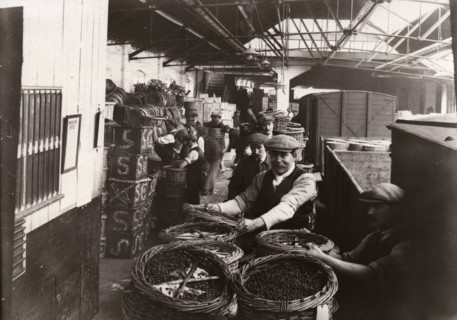 Men unloading baskets of blackcurrants from train, Rowntree factory, York, Yorkshire, 1920. Artist: Unknown