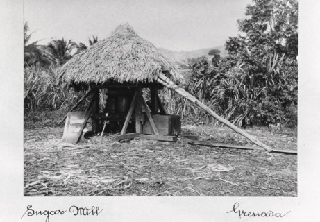 Thatched sugar mill, Grenada, 1897. Artist: Unknown