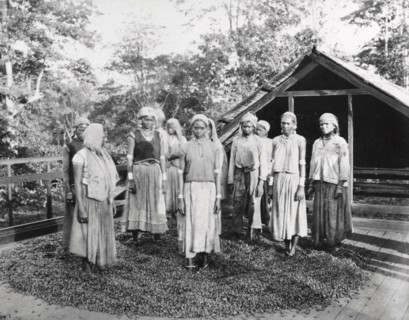 Group of women workers standing outside a cocoa drying house, 1897. Artist: Unknown