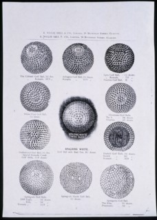 Advertisement for golf balls, Scottish, c1900s. Artist: Unknown