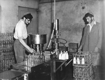 Kosher dairy, (1950?). Creator: EH Emanuel.