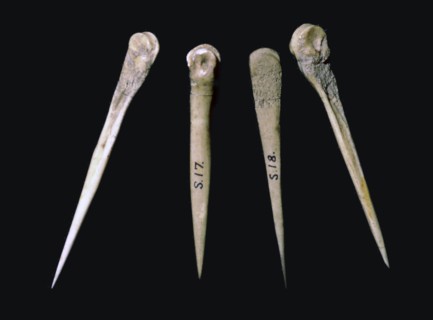 Neolithic bone pins. Artist: Unknown