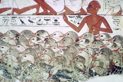 Counting the geese: fragment of wall painting from the tomb of Nebamun, Thebes, Egypt, c1350 BC. Artist: Unknown